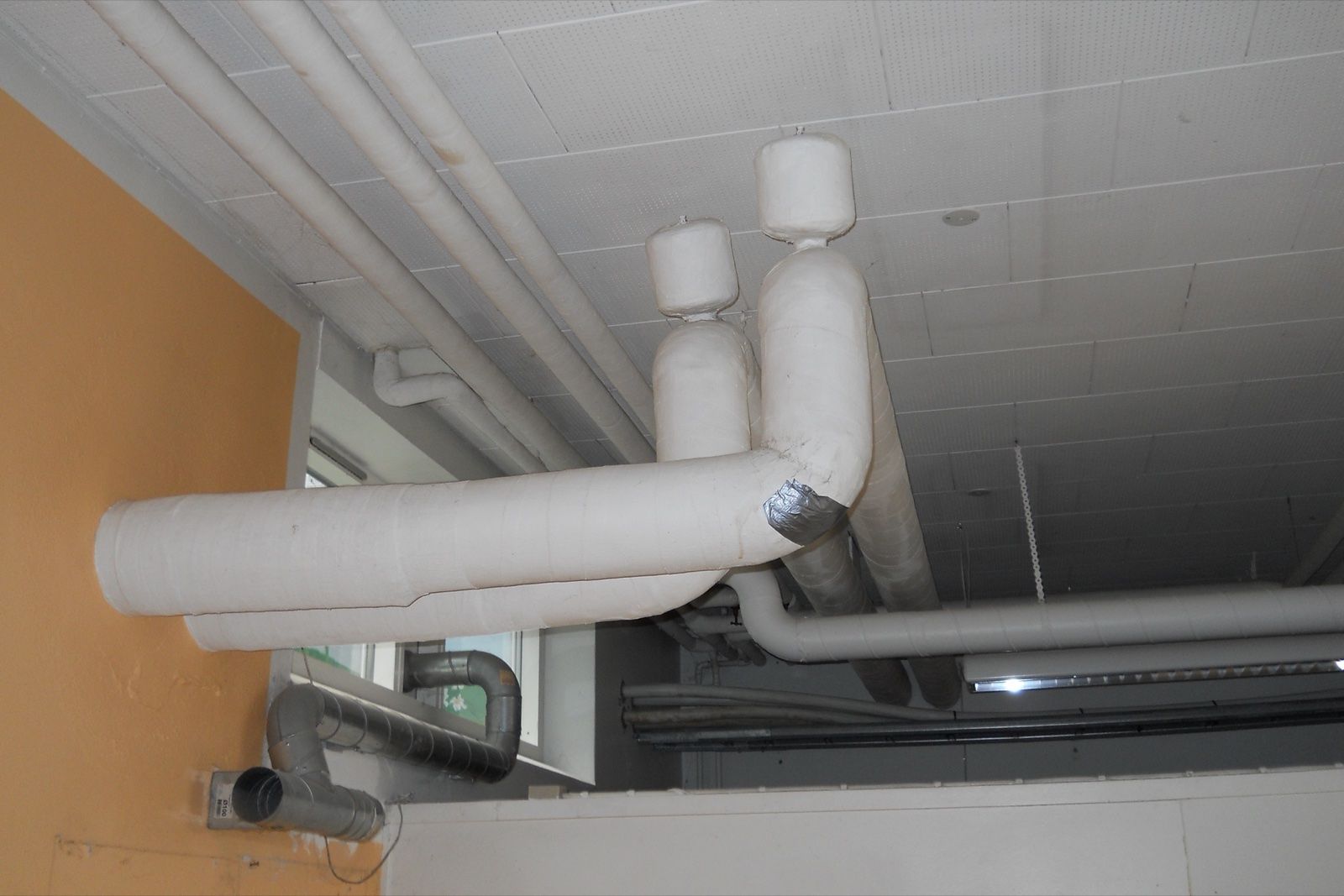 Pipes wrapped in white insulation along a ceiling